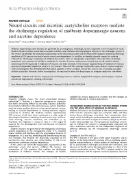 Neural Circuits and Nicotinic Acetylcholine Receptors Mediate the Cholinergic Regulation of Midbrain Dopaminergic Neurons and Nicotine Dependence