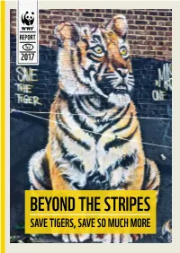 Beyond the Stripes: Save Tigers Save So