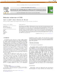 Molecular Architecture of CTCFL