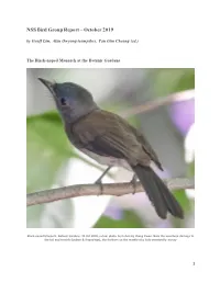 NSS Bird Group Report – October 2019 by Geoff Lim, Alan Owyong (Compiler), Tan Gim Cheong (Ed.)