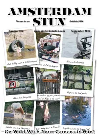 Stun Photo Contest