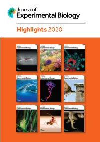 Hi Hli Ht 2020 Highlights2020