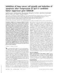 Inhibition of Lung Cancer Cell Growth and Induction of Apoptosis After Reexpression of 3P21.3 Candidate Tumor Suppressor Gene SEMA3B