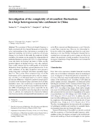 Investigation of the Complexity of Streamflow Fluctuations in a Large Heterogeneous Lake Catchment in China