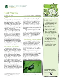 Root Weevils Fact Sheet No