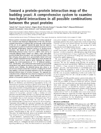 Toward a Protein–Protein Interaction Map of the Budding Yeast: A