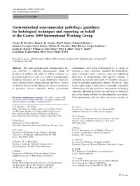 Gastrointestinal Neuromuscular Pathology: Guidelines for Histological Techniques and Reporting on Behalf of the Gastro 2009 International Working Group