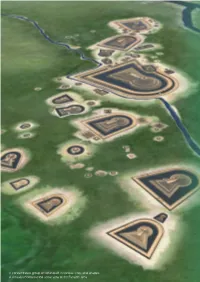 A Concentrated Group of Kofun Built in Various Sizes and Shapes a Virtually Reconstructed Aerial View of the Furuichi Area Chapter 3