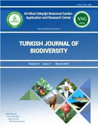 Issue Full File