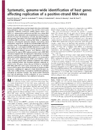 Systematic, Genome-Wide Identification of Host Genes Affecting Replication of a Positive-Strand RNA Virus