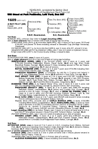 YEARLING, Consigned by Barton Stud the Property of Haddenham Stud Farm Ltd