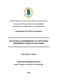 Ecological Determinants of Potyvirus Emergence in Wild Ecosystems