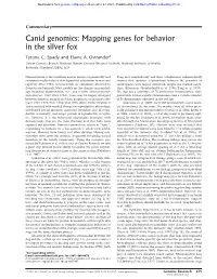 Mapping Genes for Behavior in the Silver Fox