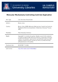 Molecular Mechanisms Controlling Centriole Duplication
