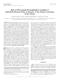 Role of Microsomal Prostaglandin E Synthase-1 (Mpges1)-Derived PGE2 in Patency of the Ductus Arteriosus in the Mouse