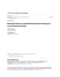Movement Patterns of Carabid Beetles Between Heterogenous Crop and Noncrop Habitats