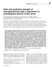 Role and Predictive Strength of Transglutaminase Type 2 Expression in Premalignant Lesions of the Cervix