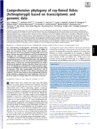 Comprehensive Phylogeny of Ray-Finned Fishes (Actinopterygii) Based on Transcriptomic and Genomic Data