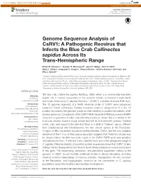 Genome Sequence Analysis of Csrv1: a Pathogenic Reovirus That Infects the Blue Crab Callinectes Sapidus Across Its Trans-Hemispheric Range