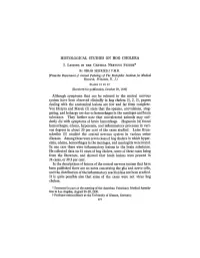 I LESIONS in the CENTRAL NERVOUS SYSTEM* by OSKAR SEIFRIED,T V.I~.D