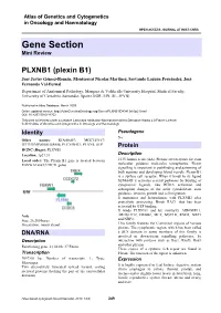 PLXNB1 (Plexin