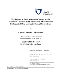 The Impact of Environmental Changes on the Microbial Community Dynamics and Abundance of Pathogenic Vibrio Species in Coastal Ecosystems