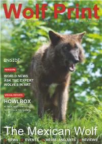 Issue 34 Autumn 2008