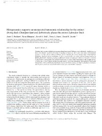 Mitogenomics Supports an Unexpected Taxonomic Relationship for the Extinct Diving Duck Chendytes Lawi and Deﬁnitively Places the Extinct Labrador Duck ⁎ Janet C