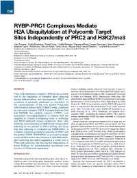 RYBP-PRC1 Complexes Mediate H2A Ubiquitylation at Polycomb Target Sites Independently of PRC2 and H3k27me3