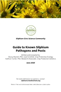 Guide to Known Silphium Pathogens and Pests