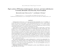 High-Resolution TEM Study of Jimthompsonite, Chesterite, and Chain-Width Disorder in Archean Ultramafic Rocks from Isua, West Greenland