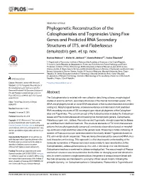 Phylogenetic Reconstruction of the Calosphaeriales and Togniniales Using Five Genes and Predicted RNA Secondary Structures of ITS, and Flabellascus Tenuirostris Gen