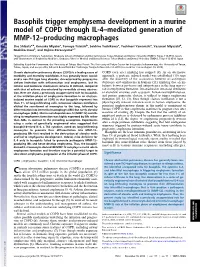 Basophils Trigger Emphysema Development in a Murine Model of COPD Through IL-4–Mediated Generation of MMP-12–Producing Macrophages