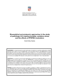 Bioanalytical and Proteomic Approaches in the Study of Pathologic Ecs Dysfunctionality, Oxidative Stress and the Effects of PFKFB3 Modulators