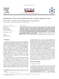Identification of Two Active Functional Domains of Human Adenylate Kinase 5