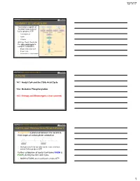 Chapter 14 Slides 2017
