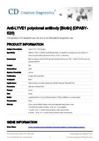 Anti-LYVE1 Polyclonal Antibody [Biotin] (DPABY- 520) This Product Is for Research Use Only and Is Not Intended for Diagnostic Use