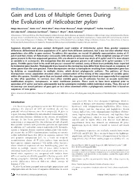 Gain and Loss of Multiple Genes During the Evolution of Helicobacter Pylori