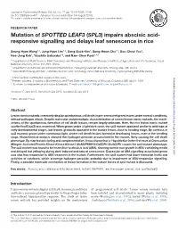 Impairs Abscisic Acid- Responsive Signalling and Delays Leaf Senescence in Rice