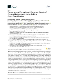 Environmental Screening of Fonsecaea Agents of Chromoblastomycosis Using Rolling Circle Ampliﬁcation