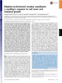 Ethylene-Orchestrated Circuitry Coordinates a Seedlingts Response