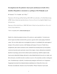Investigations Into Encephalartos Insect Pests and Diseases in South Africa Identifies Phytophthora Cinnamomi As a Pathogen of the Modjadji Cycad