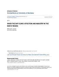 When the Sap Flows: Affection and Industry in the Maple Woods