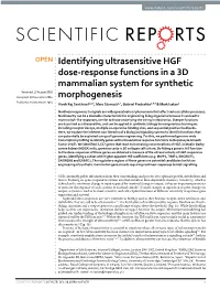 Identifying Ultrasensitive HGF Dose-Response Functions in a 3D
