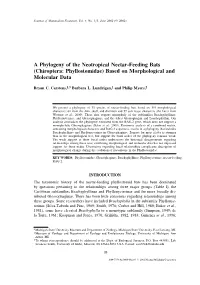 A Phylogeny of the Neotropical Nectar-Feeding Bats (Chiroptera: Phyllostomidae) Based on Morphological and Molecular Data