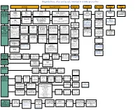 The Map of Organisation and People Involved in X