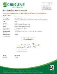 Tryptophanyl Trna Synthetase (WARS) (NM 004184) Human Tagged ORF Clone Product Data