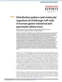 Distribution Pattern and Molecular Signature of Cholinergic Tuft Cells In
