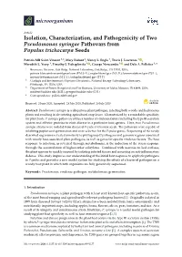 Isolation, Characterization, and Pathogenicity of Two Pseudomonas Syringae Pathovars from Populus Trichocarpa Seeds