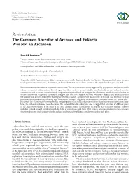 The Common Ancestor of Archaea and Eukarya Was Not an Archaeon